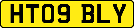 HT09BLY