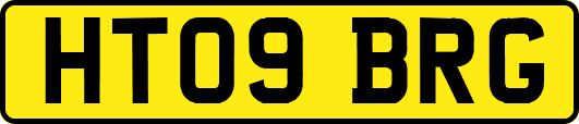 HT09BRG