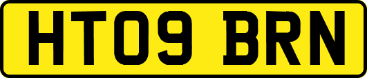 HT09BRN