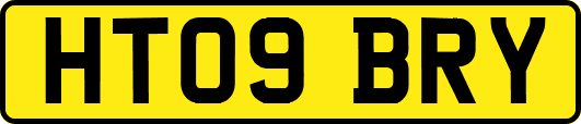 HT09BRY
