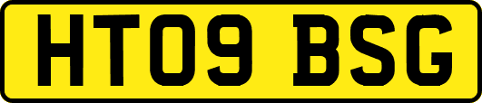 HT09BSG