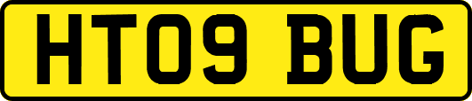 HT09BUG