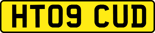HT09CUD