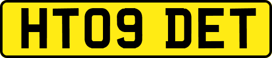 HT09DET