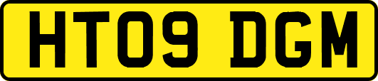 HT09DGM