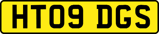HT09DGS