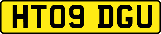HT09DGU