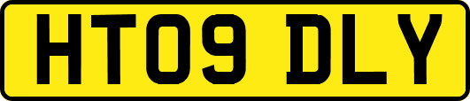 HT09DLY