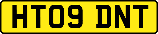 HT09DNT