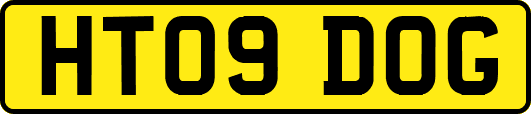 HT09DOG