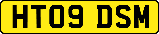 HT09DSM