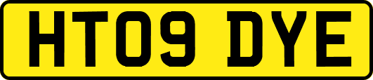 HT09DYE