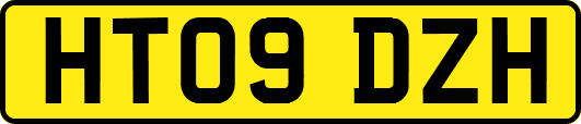 HT09DZH