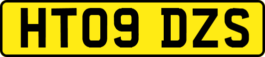 HT09DZS