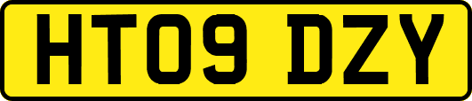 HT09DZY