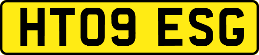 HT09ESG