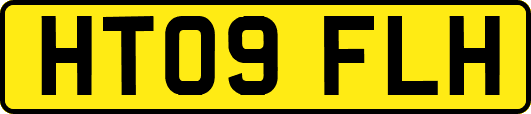 HT09FLH
