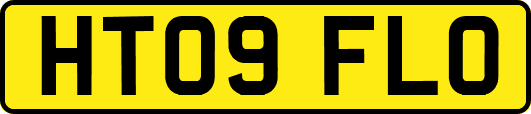 HT09FLO