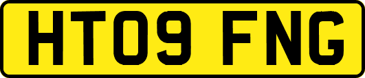 HT09FNG