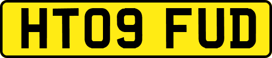 HT09FUD