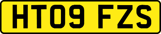 HT09FZS