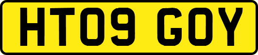 HT09GOY
