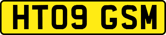 HT09GSM