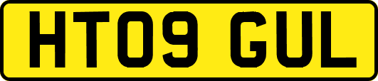 HT09GUL