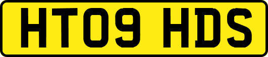 HT09HDS