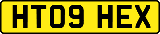 HT09HEX