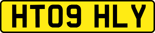 HT09HLY