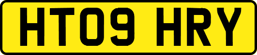 HT09HRY