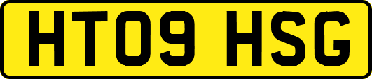HT09HSG