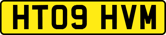 HT09HVM