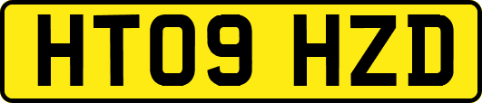 HT09HZD