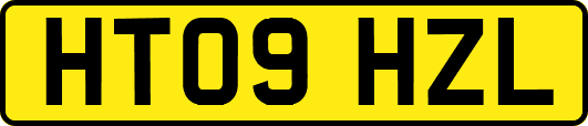 HT09HZL