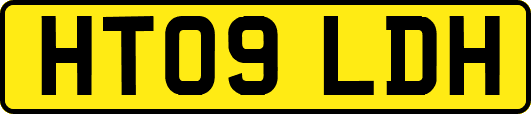 HT09LDH