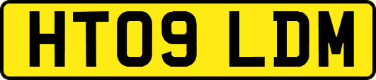 HT09LDM