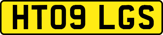HT09LGS