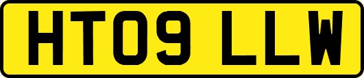 HT09LLW