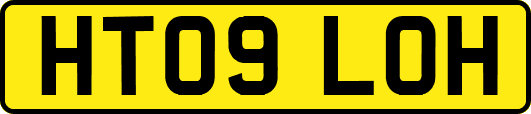 HT09LOH