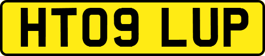 HT09LUP
