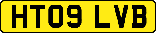 HT09LVB