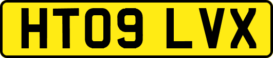 HT09LVX