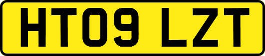 HT09LZT