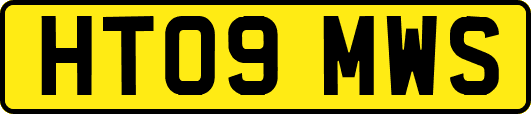 HT09MWS