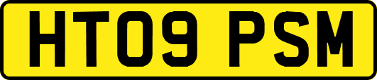 HT09PSM