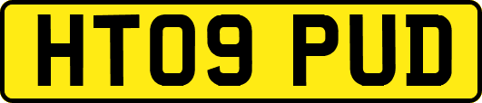 HT09PUD
