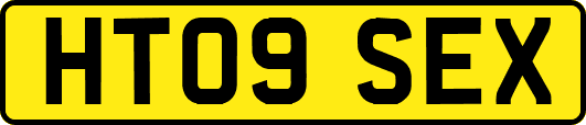HT09SEX
