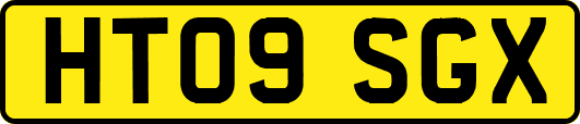 HT09SGX